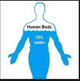 water human